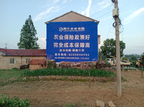 清流墙体广告为何受追捧？